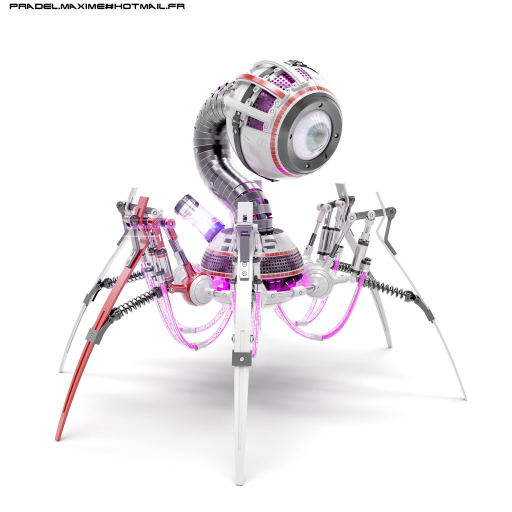 pradel.maxime@hotmail.fr